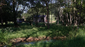 Off-grid Cork Cabin With It's Own Island